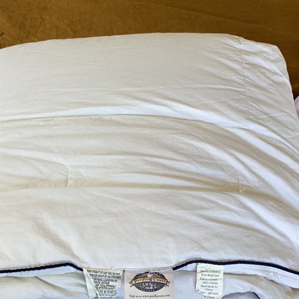 Pacific Coast Queen Goose Down Comforter